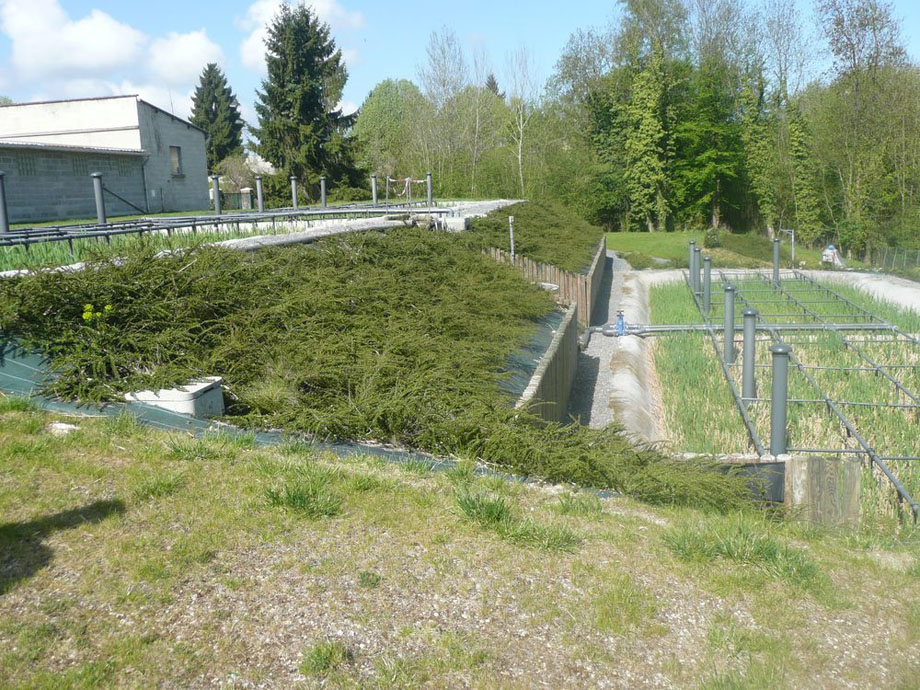 Aménagement parcs et jardins - Musial