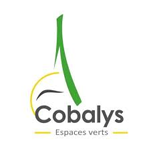 Cobalys
